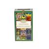 Bete parfumate NAGCHAMPA 12/set, aroma  Positive Energy